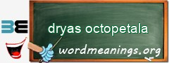 WordMeaning blackboard for dryas octopetala